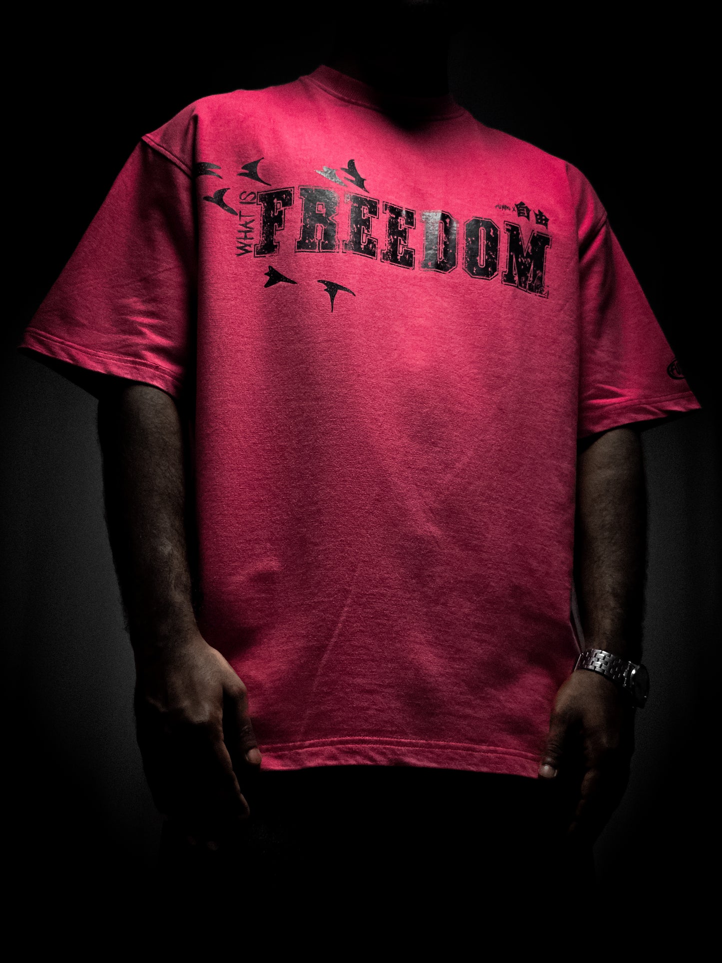 WHAT IS FREEDOM *AOT* RED VINTAGE T-SHIRT