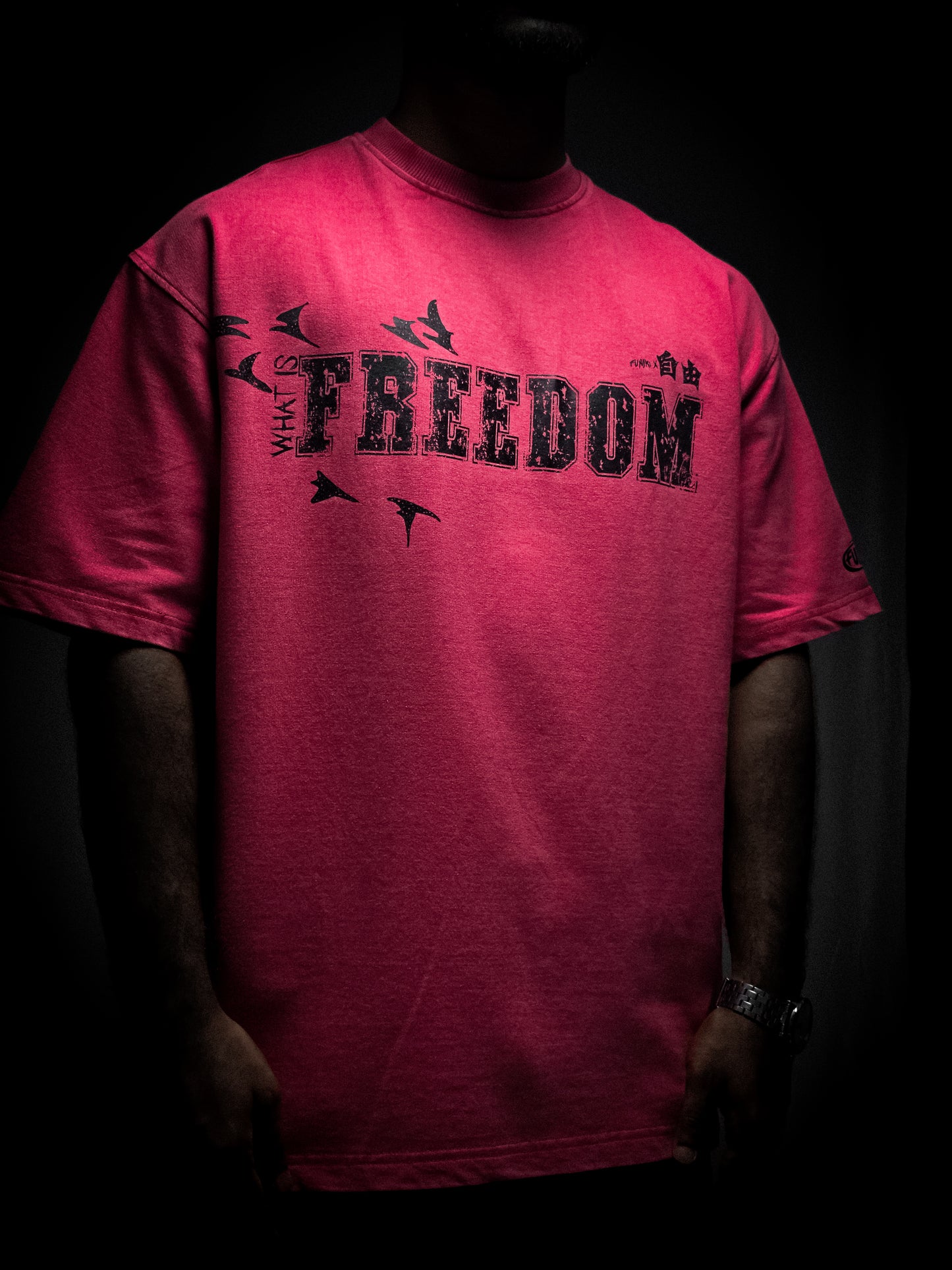 WHAT IS FREEDOM *AOT* RED VINTAGE T-SHIRT